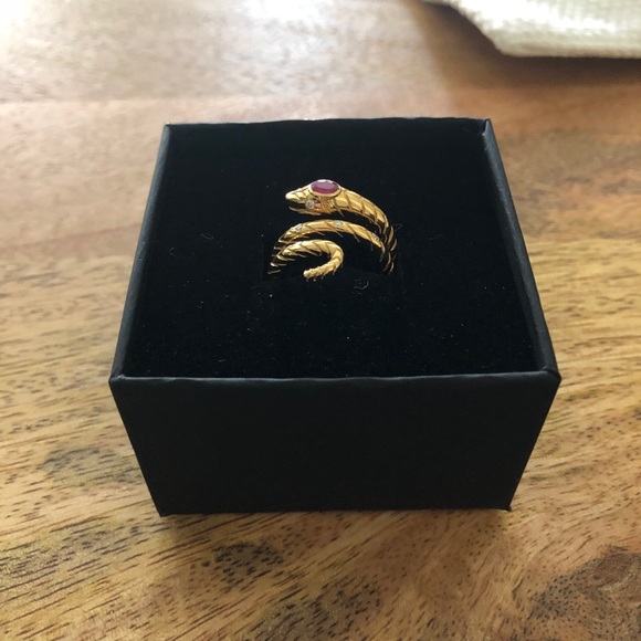Anine Bing 14K Gold Ruby Snake Ring - Picture 4 of 7